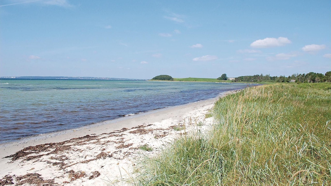 Photo of Others in Skødshoved Strand