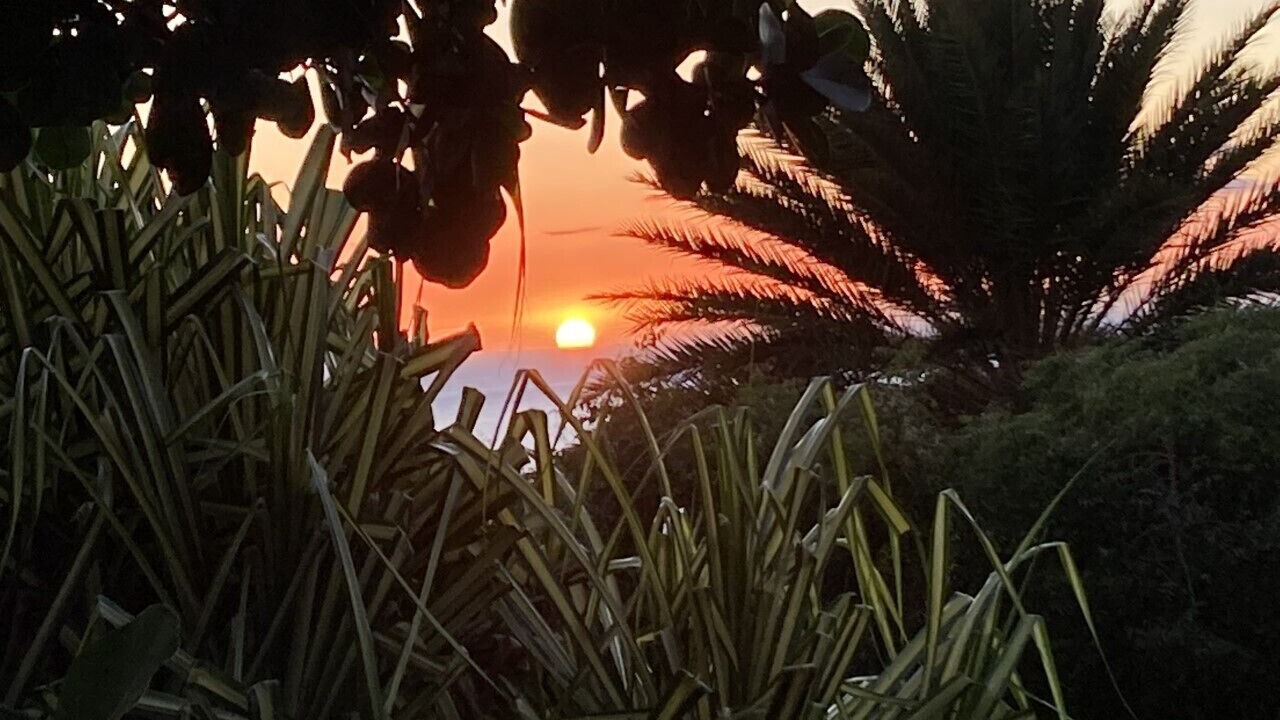 Photo of Outdoor in Kohala Estates