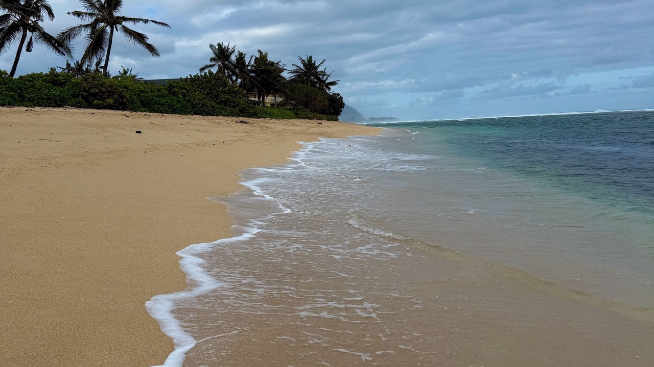 Photo of Others in Mokuleia