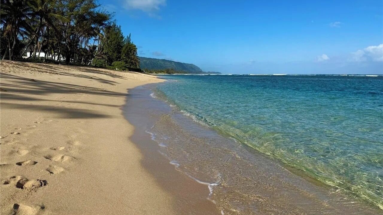 Photo of Others in Mokuleia
