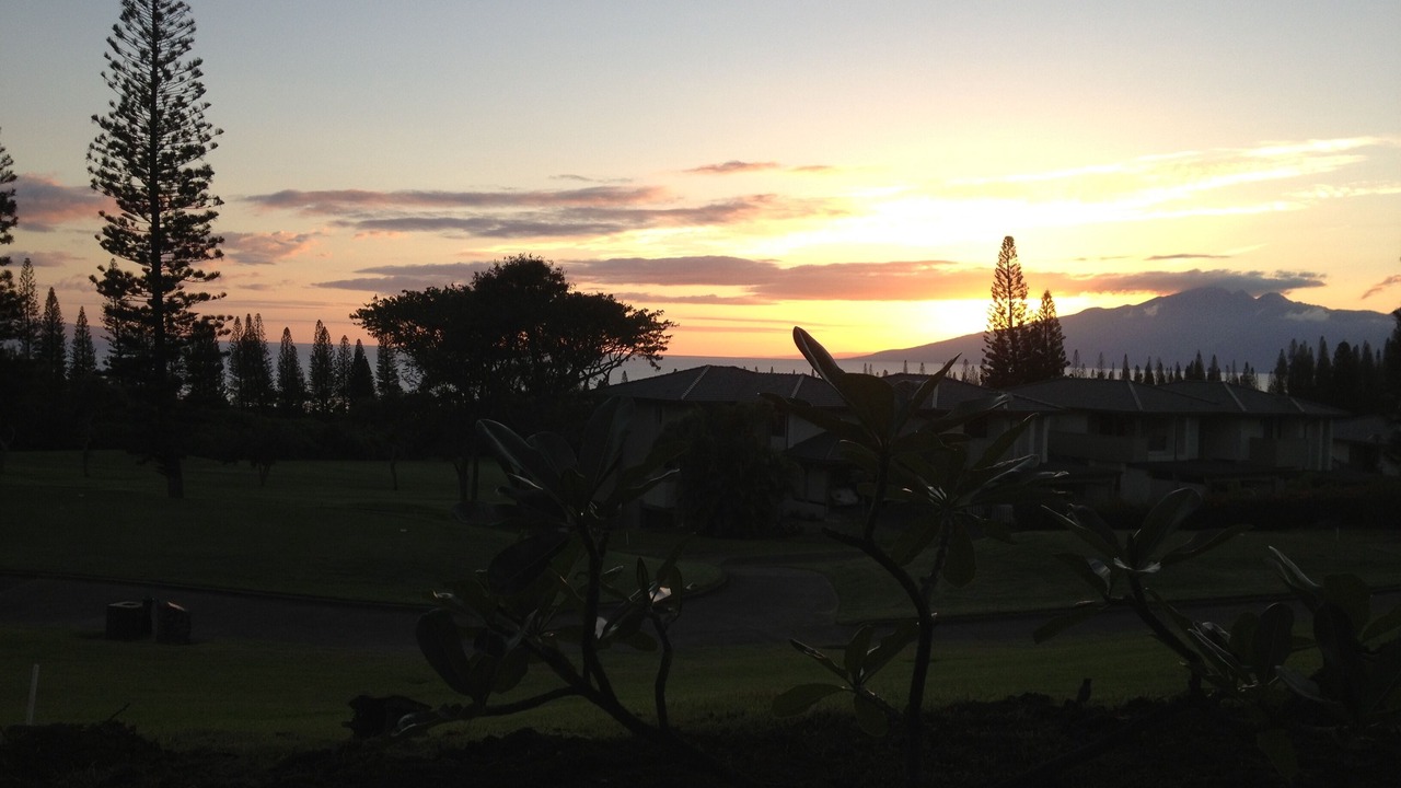 Photo of Others in Kapalua