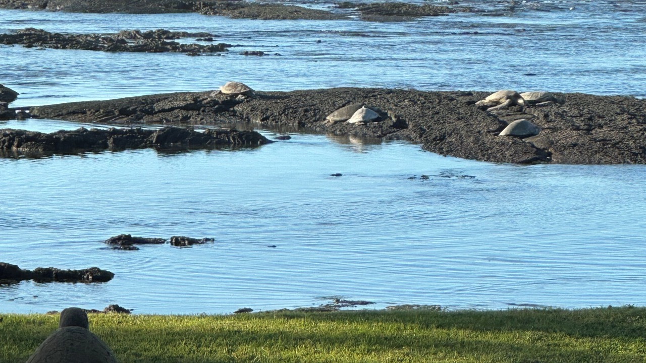 Photo of Others in Kamuela