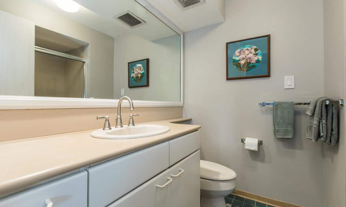 Photo of Bathroom in Wailua