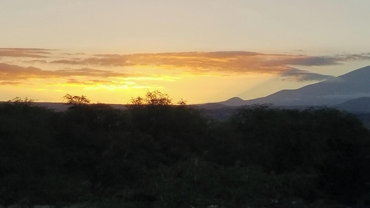 Photo of Others in Kamuela