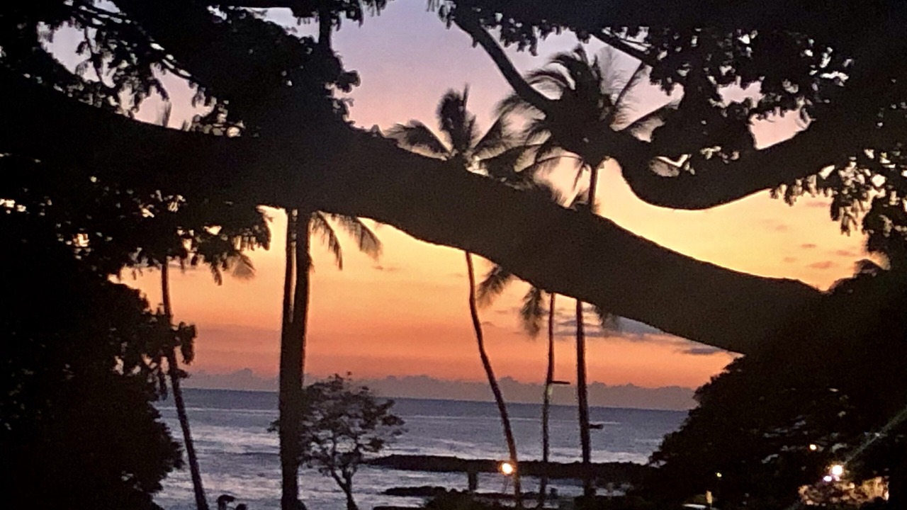 Photo of Others in Poipu