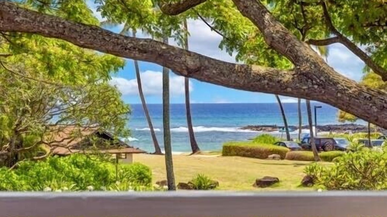 Photo of Outdoor in Poipu