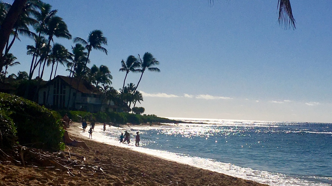 Photo of Others in Poipu