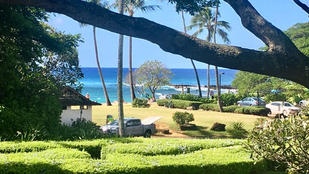 Photo of Outdoor in Poipu