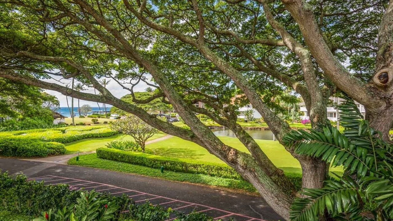 Photo of Others in Poipu