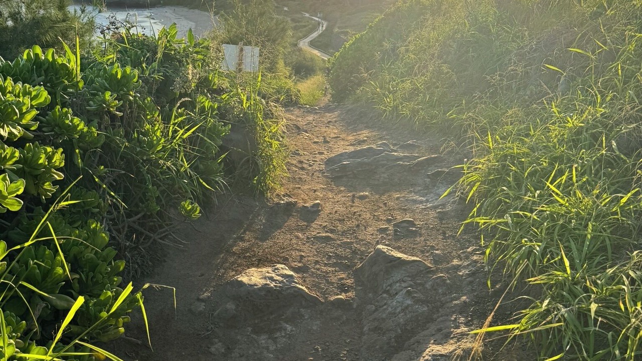 Photo of Others in Napili