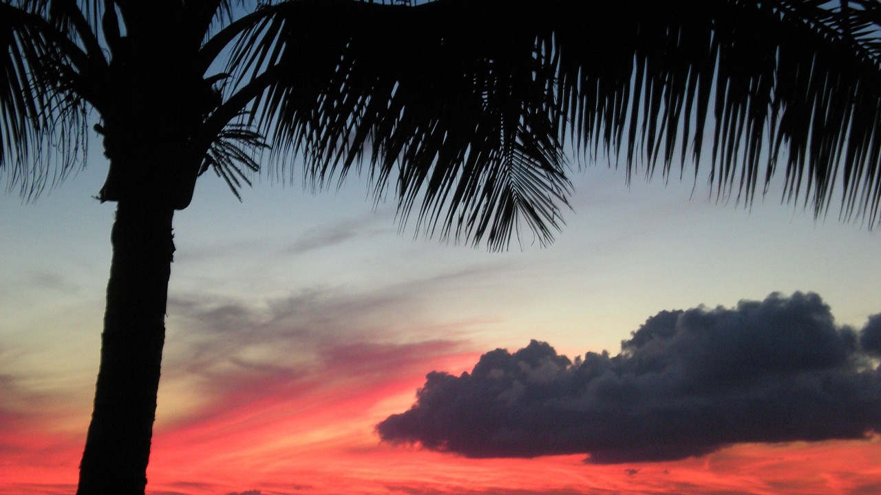 Photo of Others in Napili