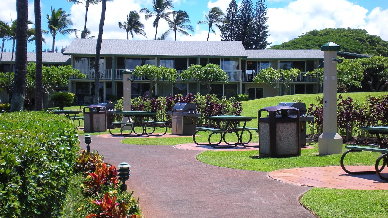 Photo of Others in Napili