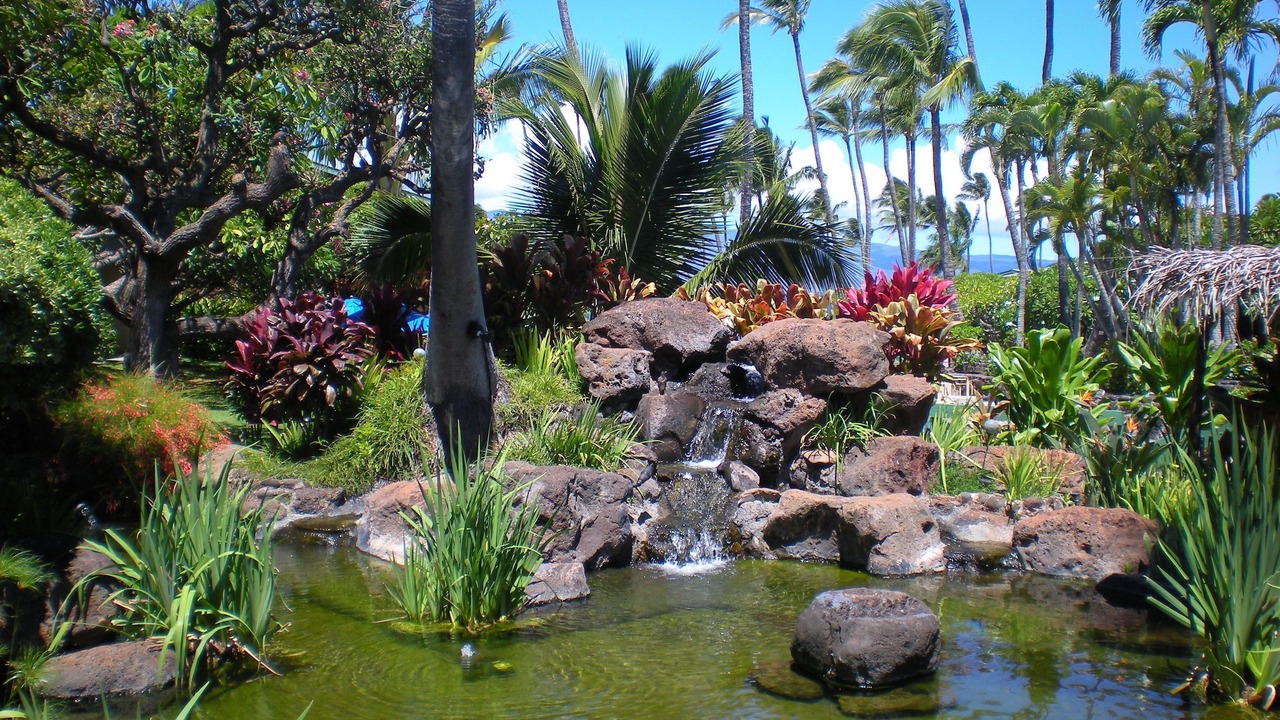 Photo of Others in Napili