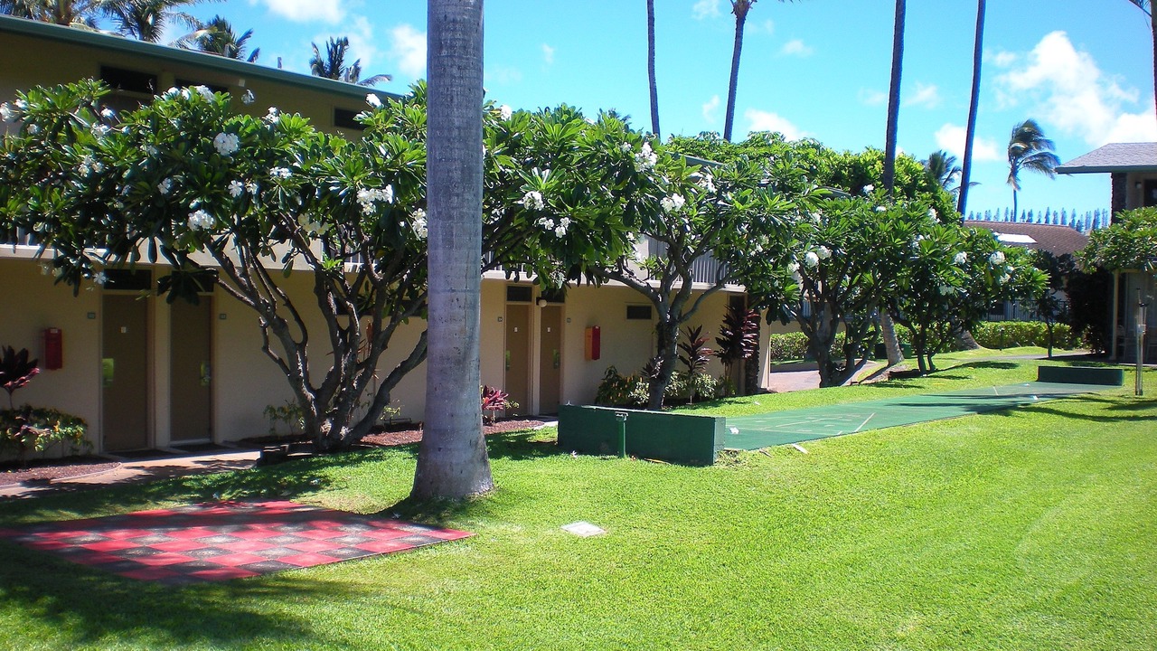 Photo of Others in Napili
