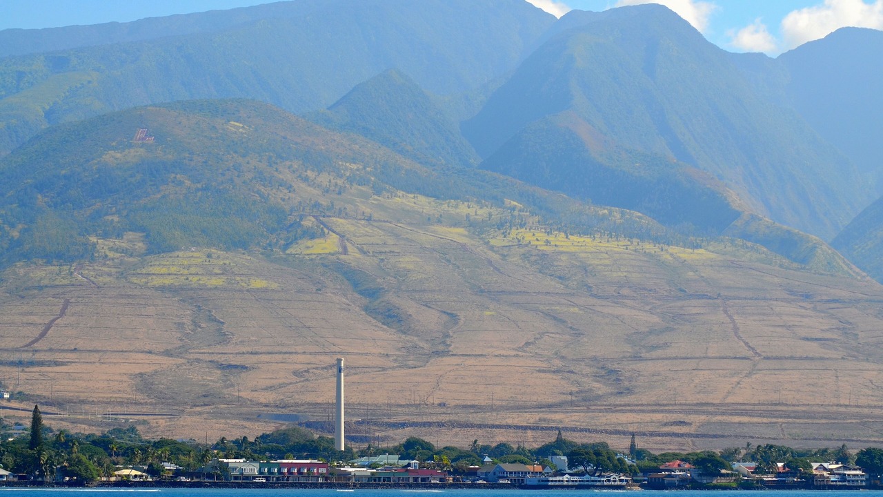 Photo of Others in Napili