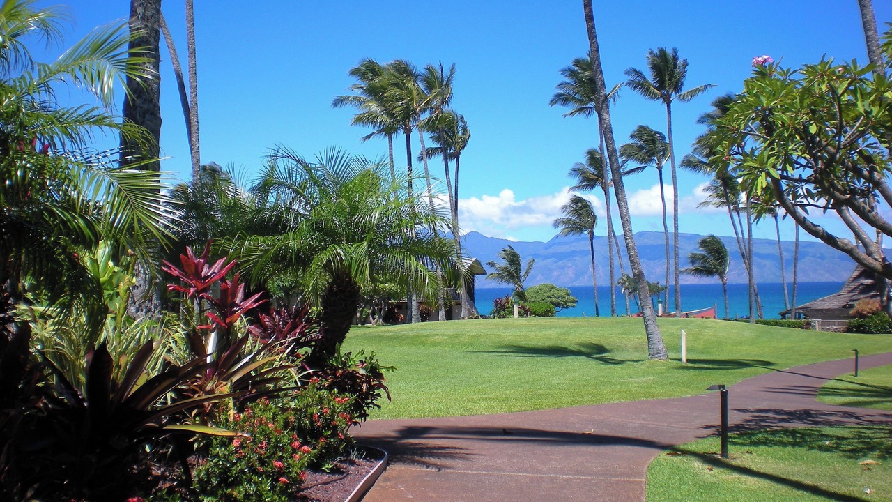 Photo of Outdoor in Napili