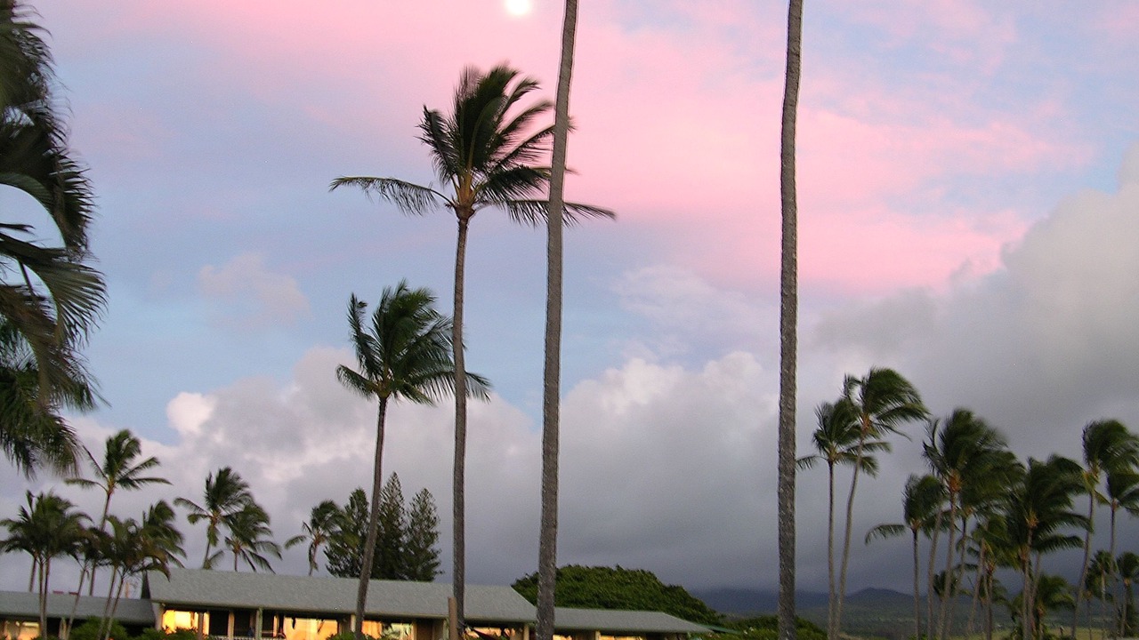 Photo of Outdoor in Napili