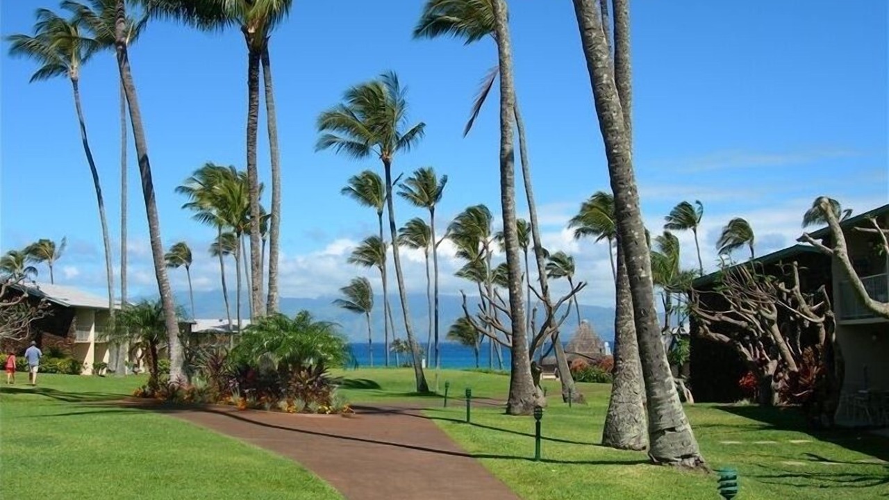 Photo of Outdoor in Napili