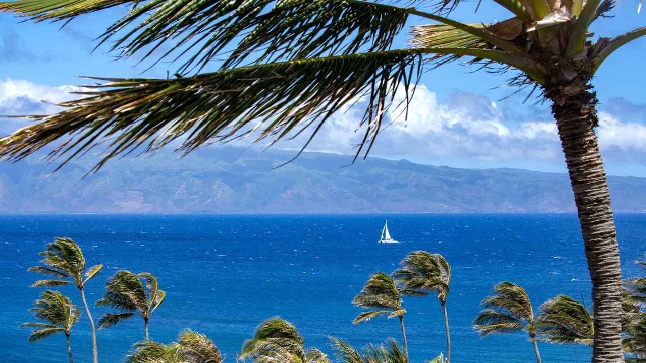 Photo of Others in Montage Kapalua Bay