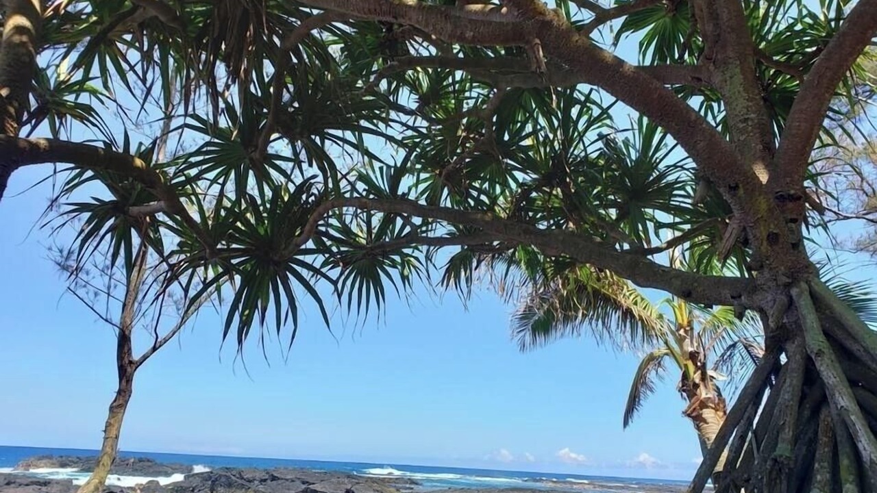 Photo of Others in Keaukaha