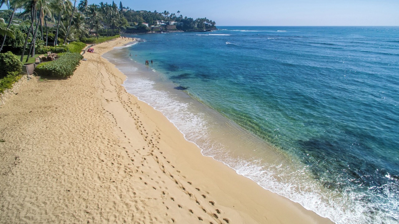 Photo of Others in Kahala