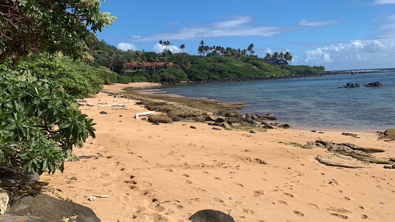Photo of Others in Anahola