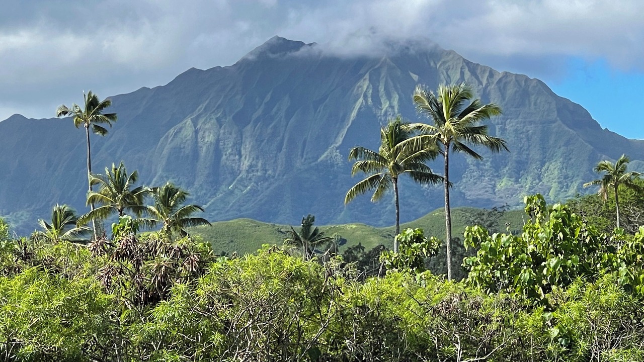 Photo of Others in Kailua