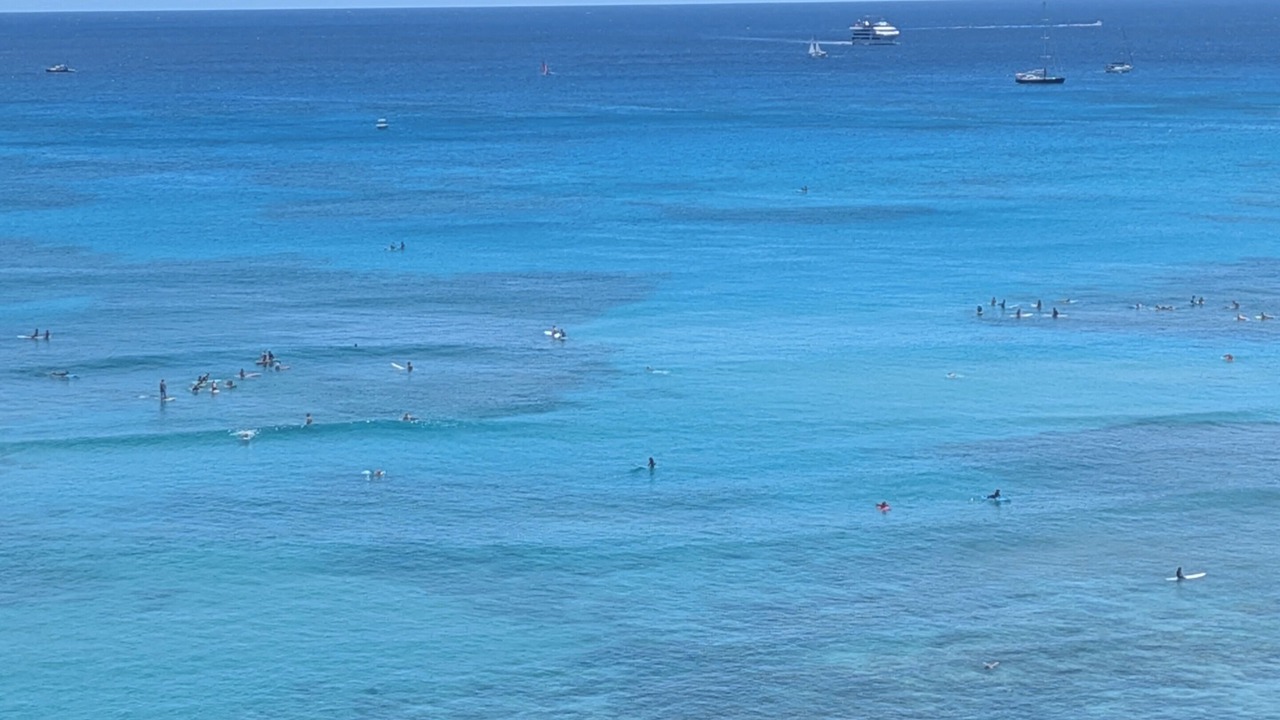 Photo of Others in Waikiki