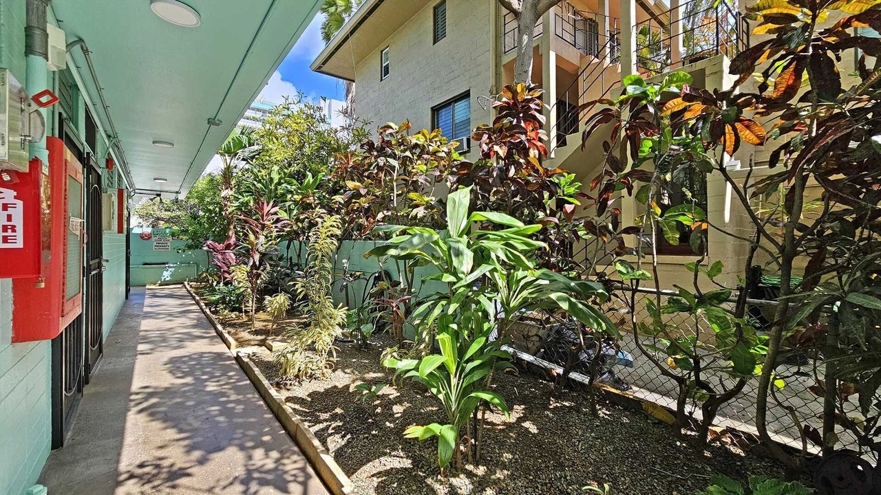 Photo of Outdoor in Waikiki