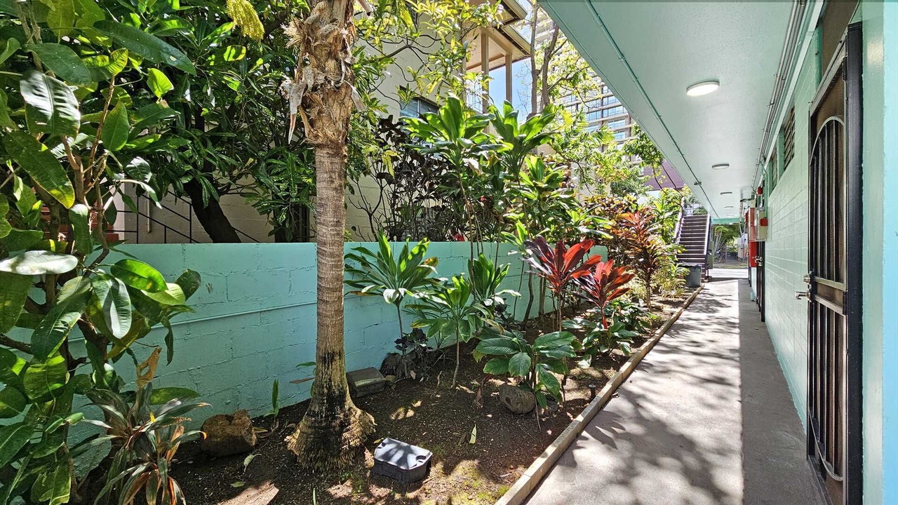 Photo of Outdoor in Waikiki