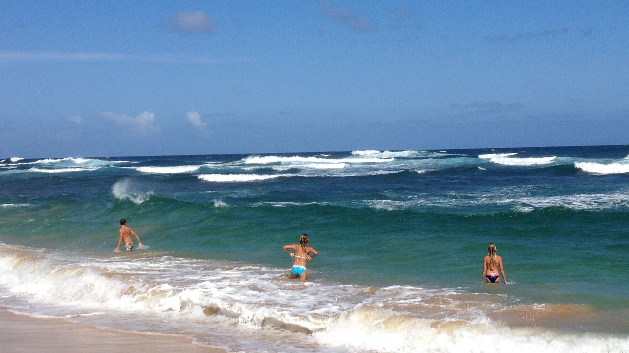 Photo of Others in Kapaa