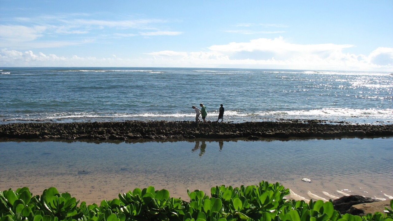 Photo of Others in Kapaa