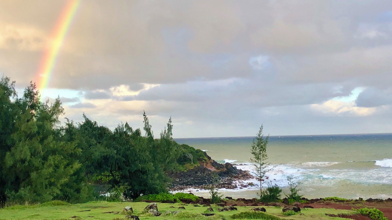 Photo of Others in Kapaa