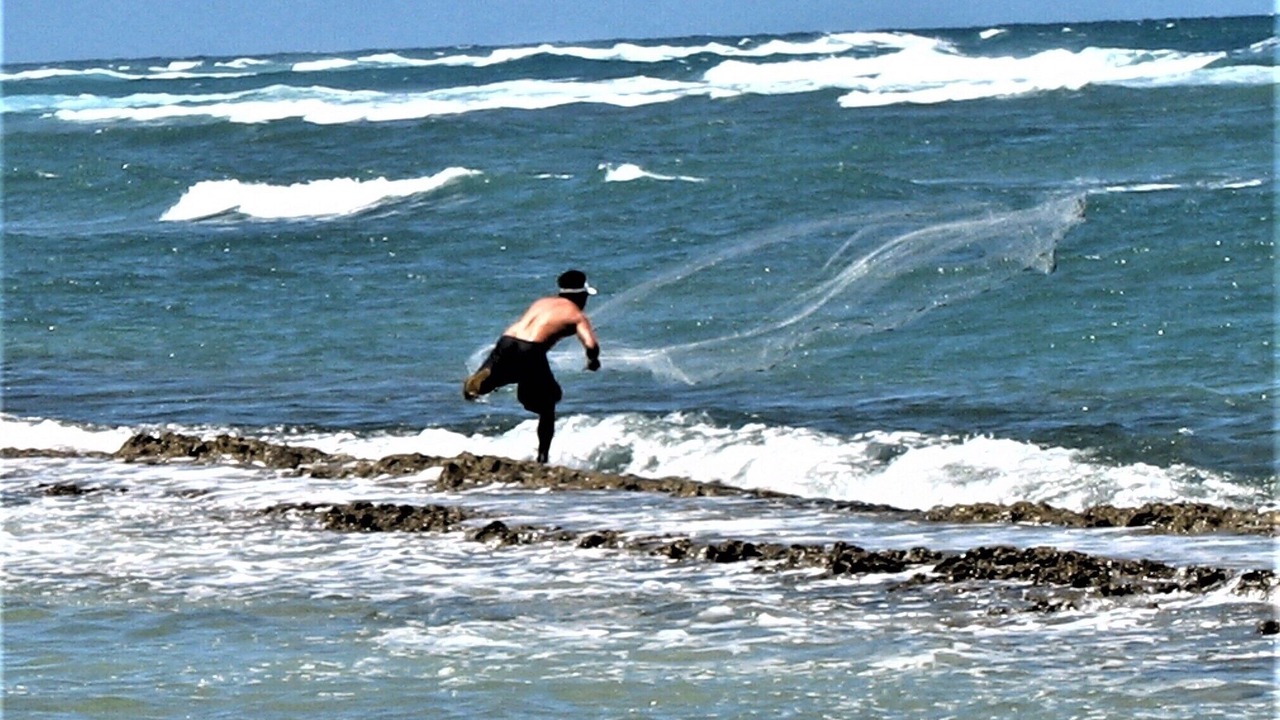 Photo of Others in Kapaa