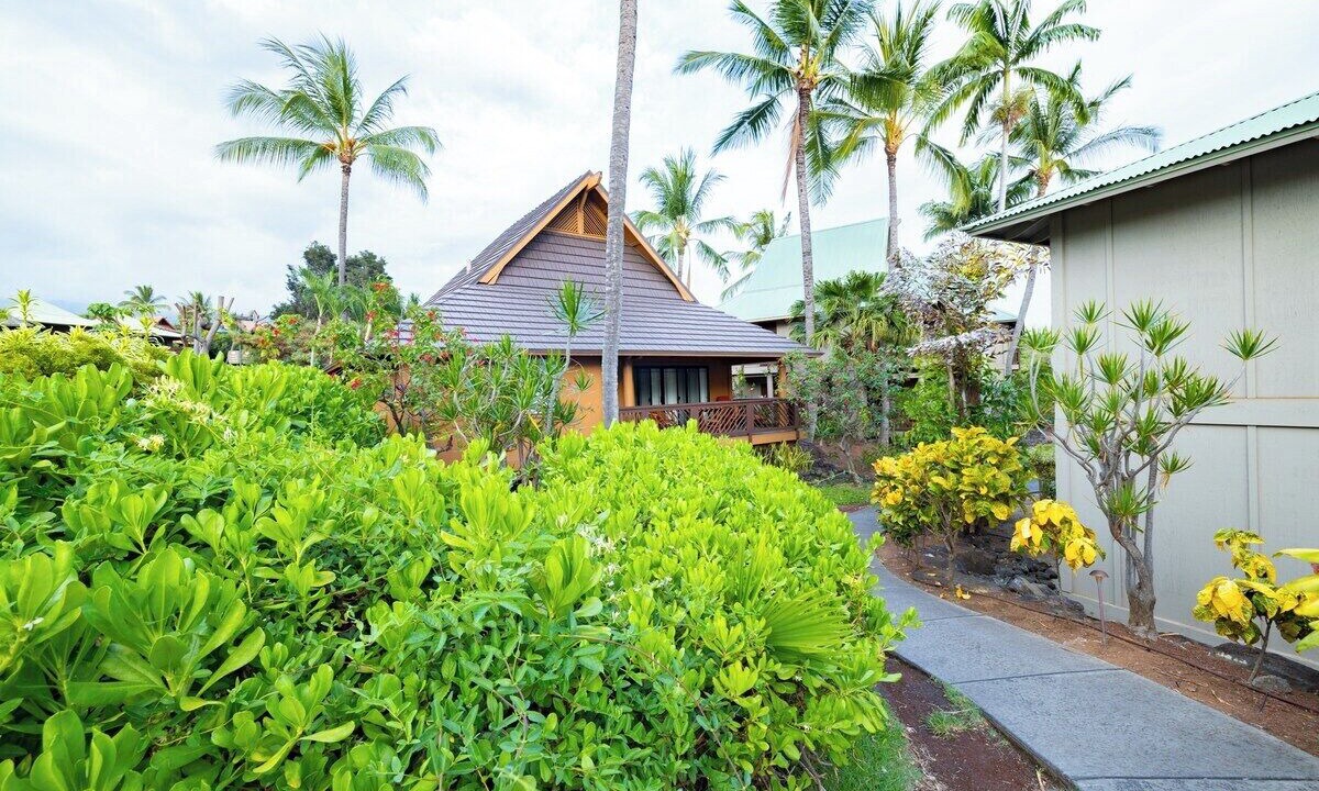Photo of Outdoor in Kailua-Kona