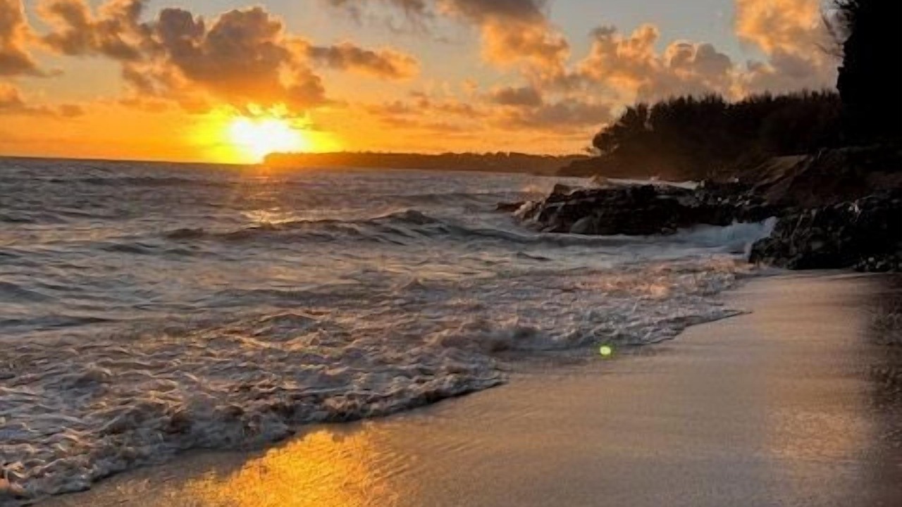 Photo of Others in Wainiha