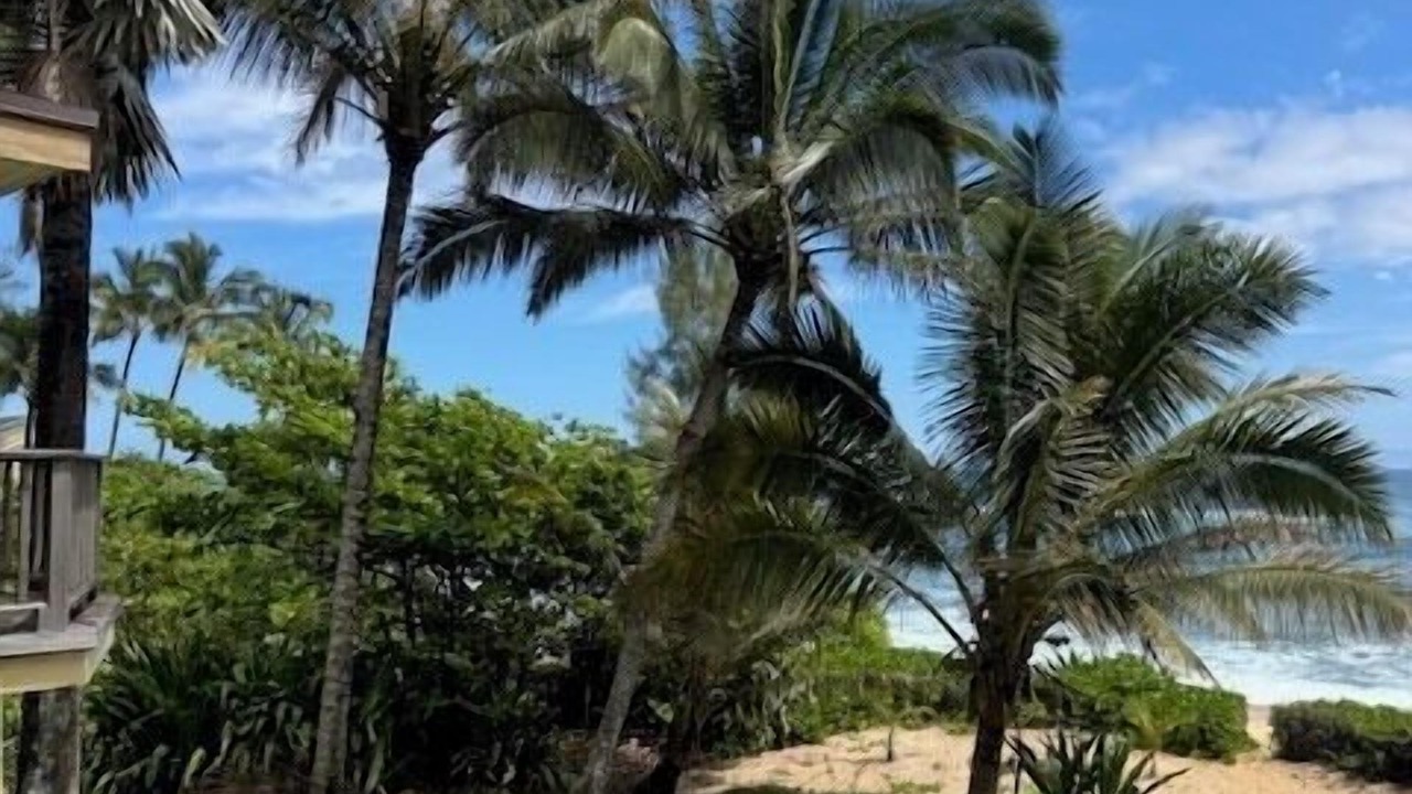 Photo of Others in Wainiha