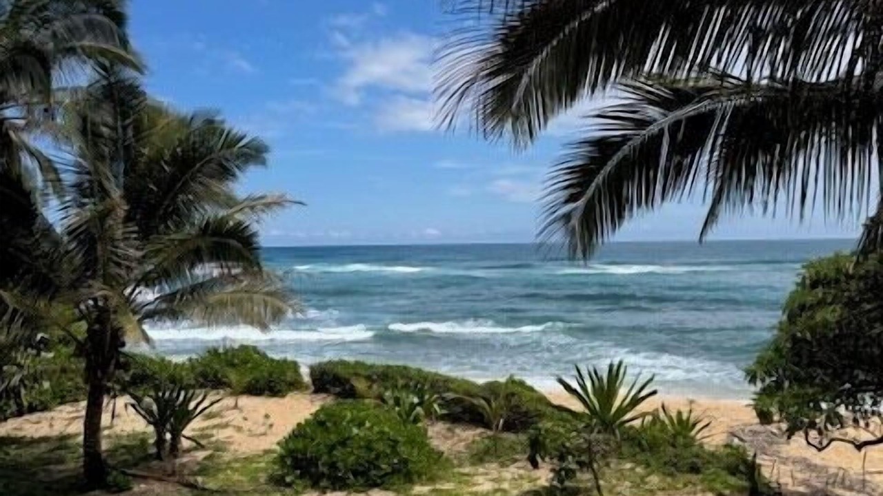 Photo of Others in Wainiha