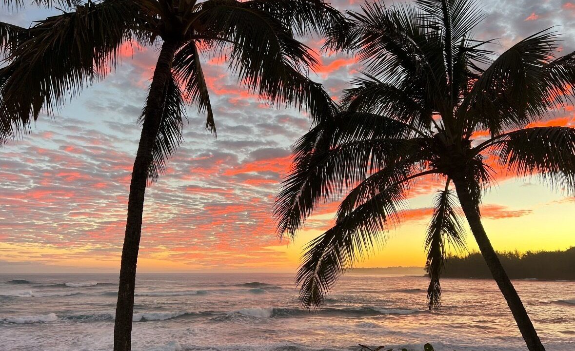 Photo of Others in Wainiha