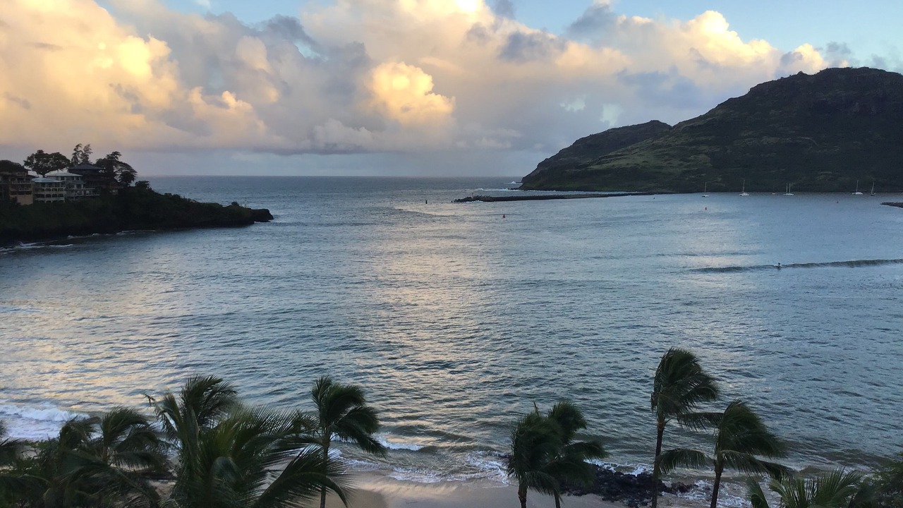 Photo of Others in Lihue