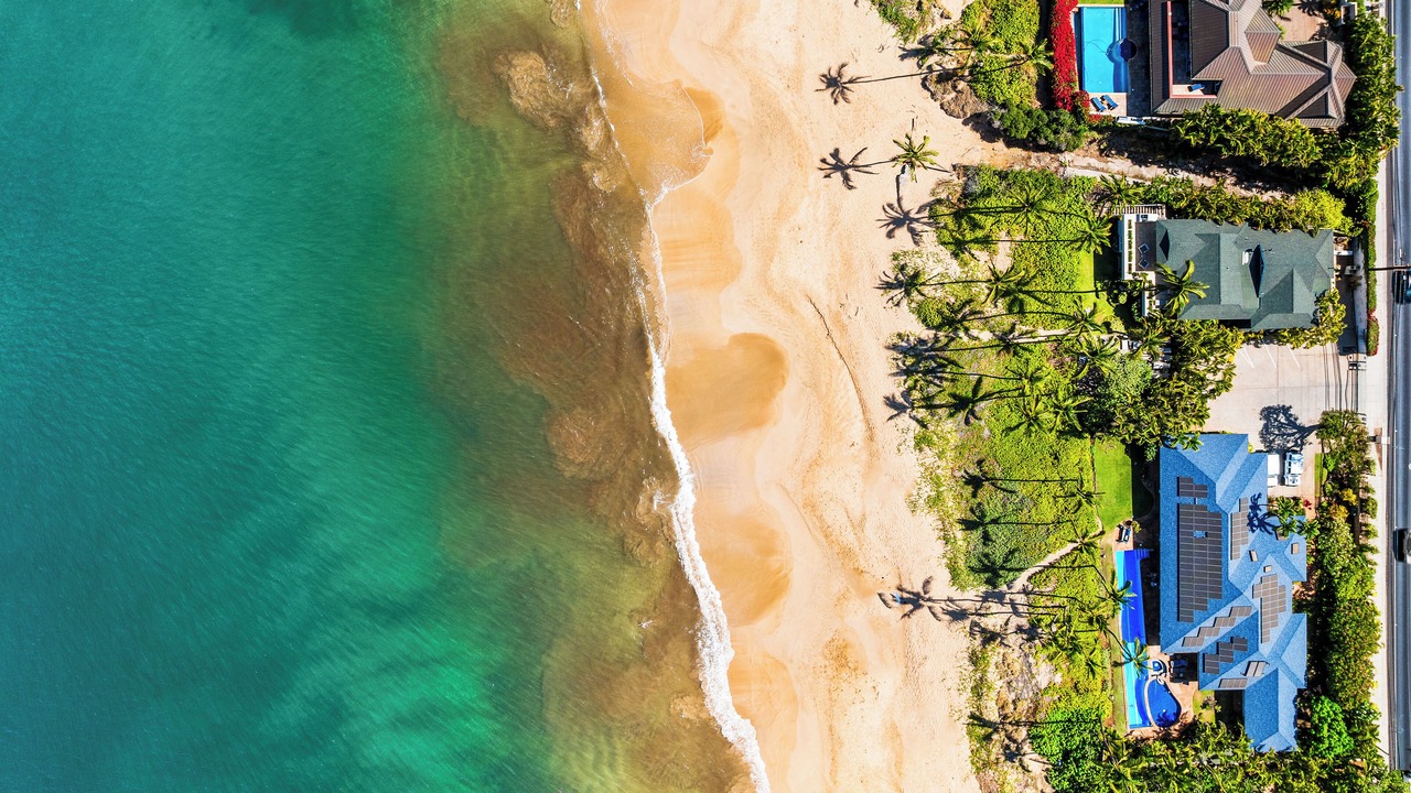 Photo of Others in Kihei
