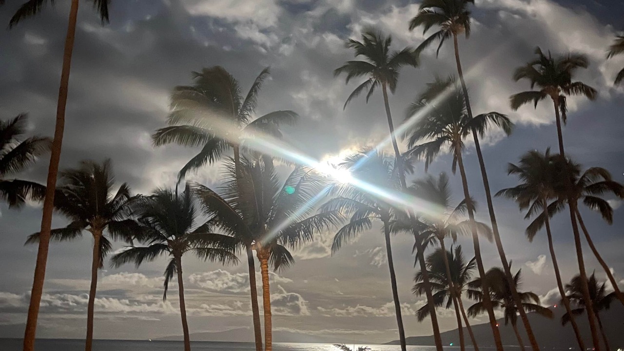 Photo of Outdoor in Kihei