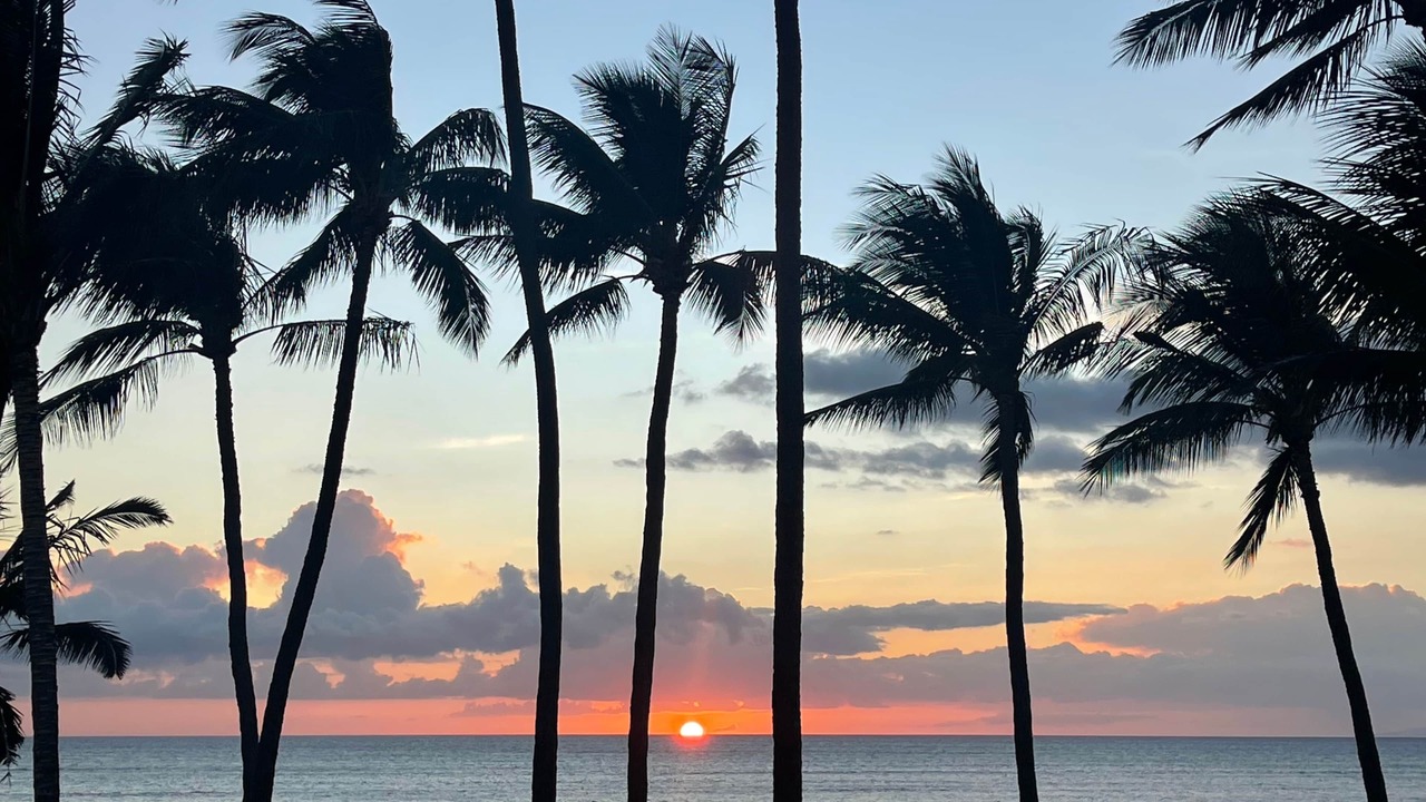 Photo of Others in Kihei