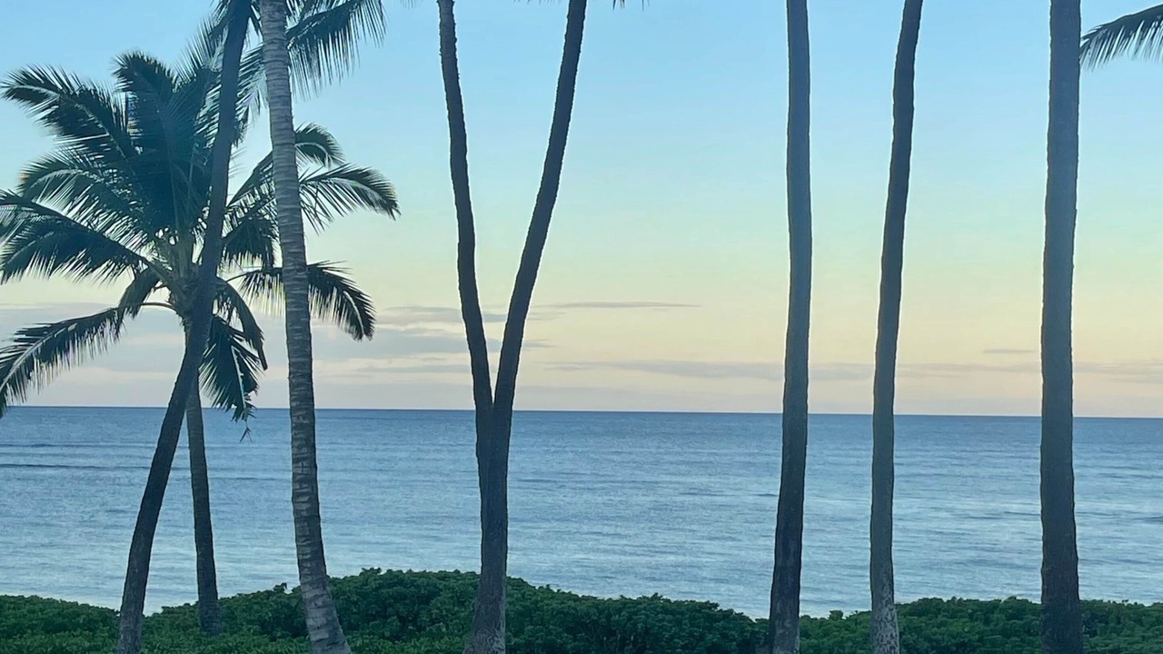 Photo of Others in Kihei