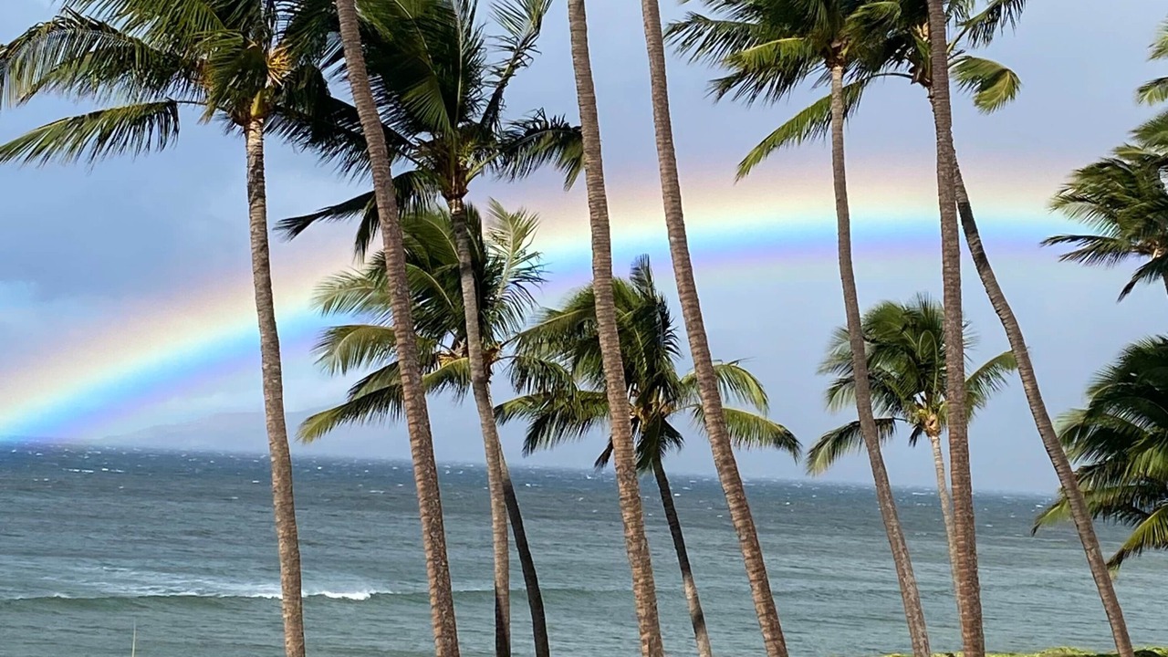 Photo of Others in Kihei