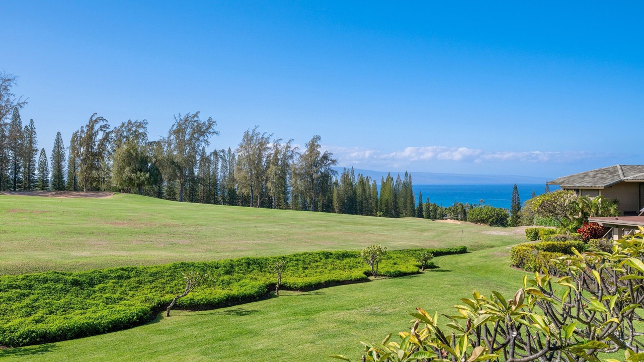 Photo of Others in Kapalua