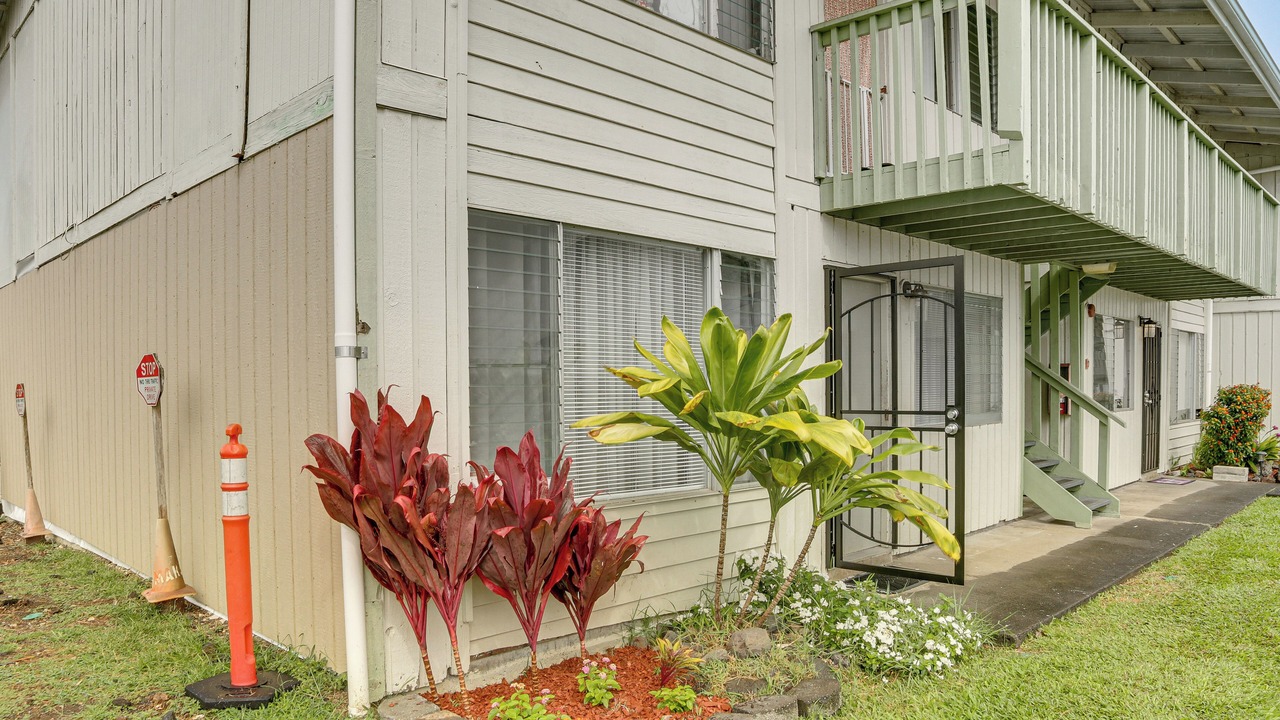 Photo of Outdoor in Hilo
