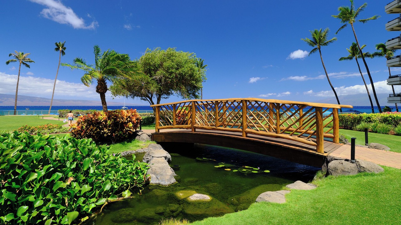 Photo of Outdoor in Kaanapali