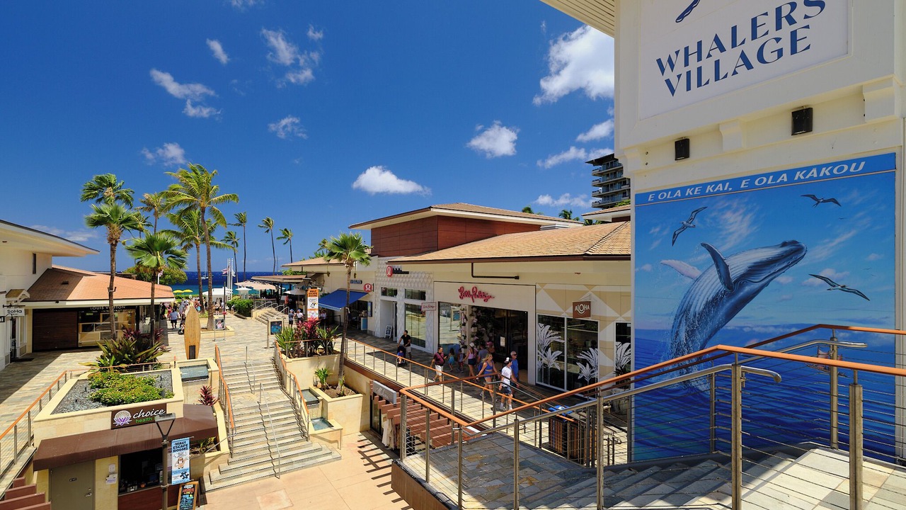 Photo of Others in Kaanapali