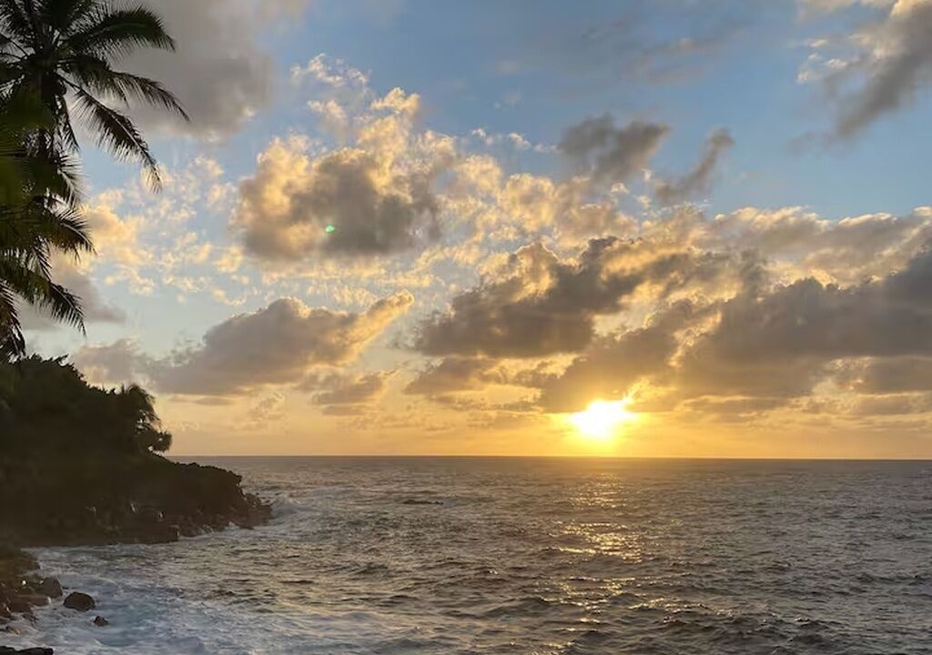 Photo of Others in Puna Palisades